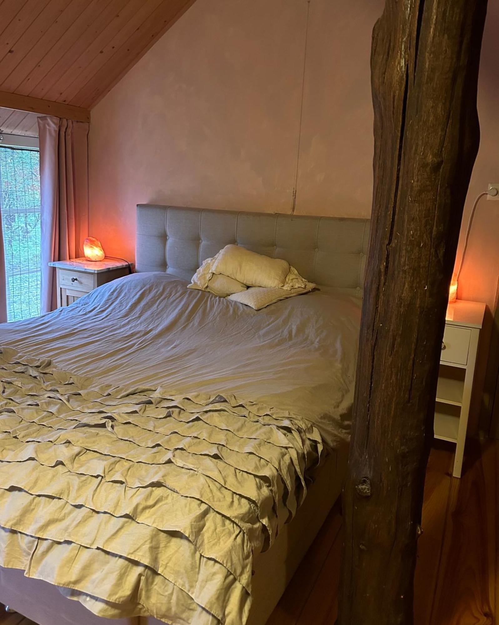 Landgoed De Bongel Bed & Breakfast De Wijk Exterior photo